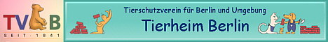 Tierheim Berlin