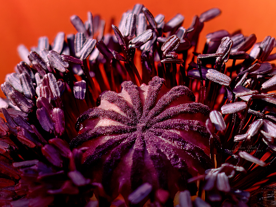 06.24