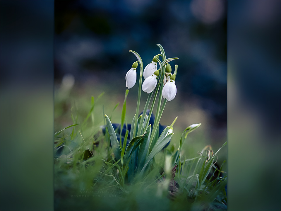 02.22