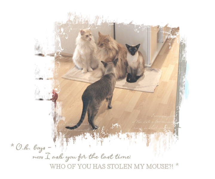 paule_spiky_yogi_zazou.06.09