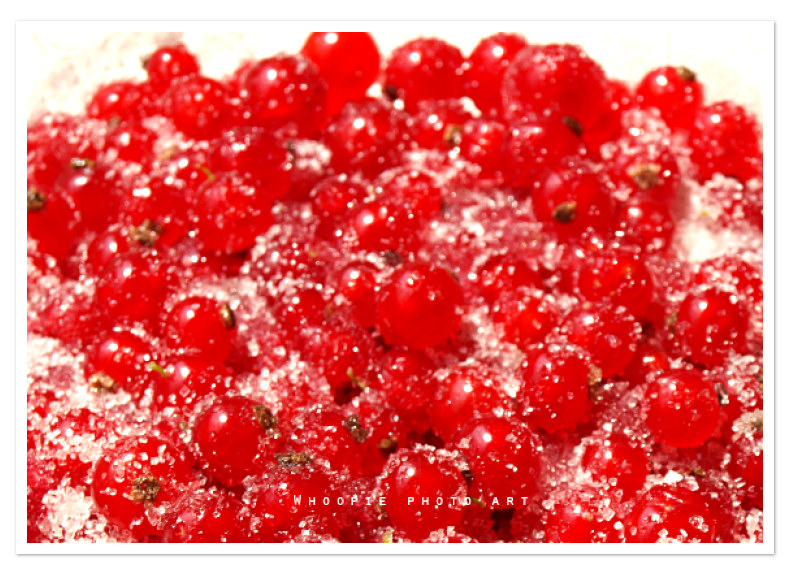 johannisbeeren_07.11