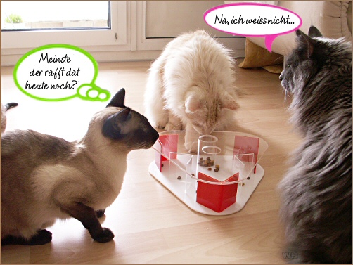 spiky_zazou_nooni.08