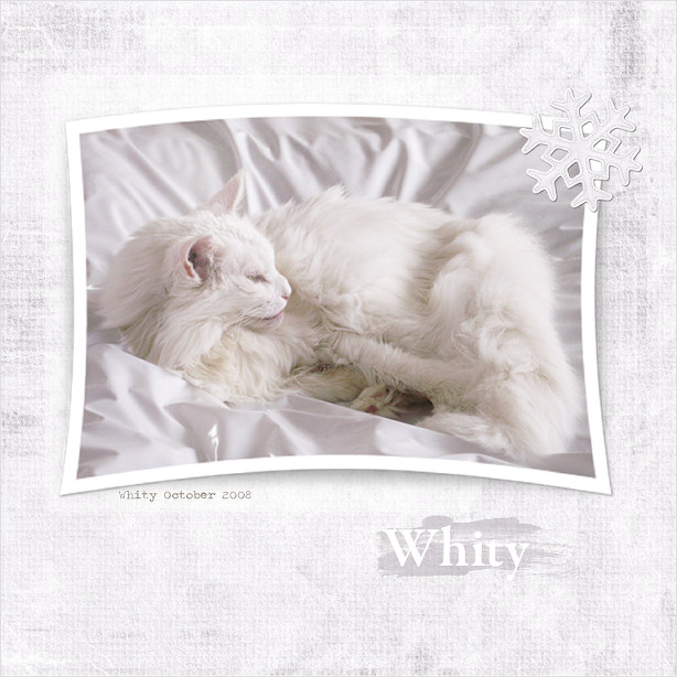 whity_10.08