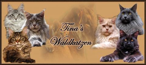 Tina*s Waldkatzen