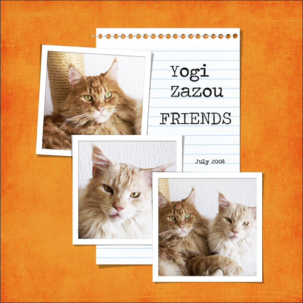 yogi_zazou.08